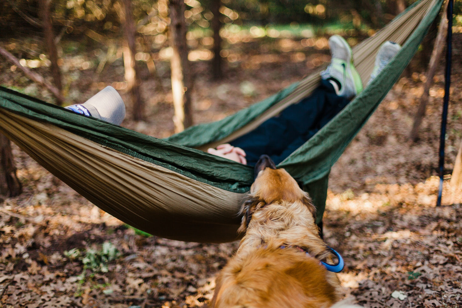 How to set up a hammock?