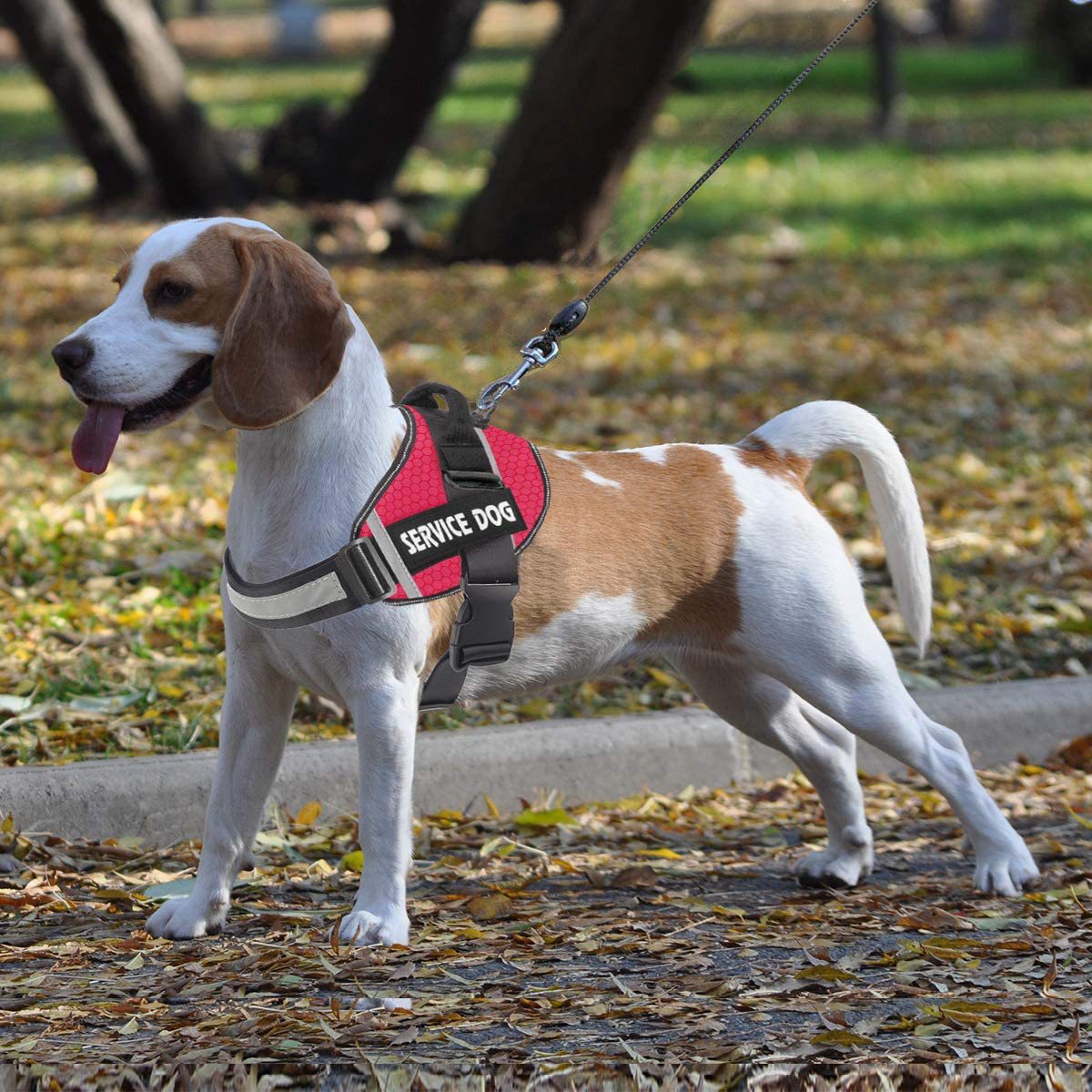 Reflective No-Pull Dog Harness with Breathable Design and Handle