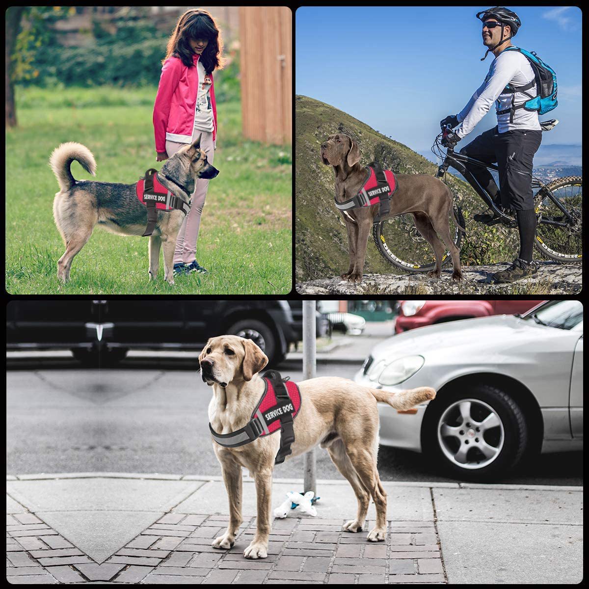 Reflective No-Pull Dog Harness with Breathable Design and Handle