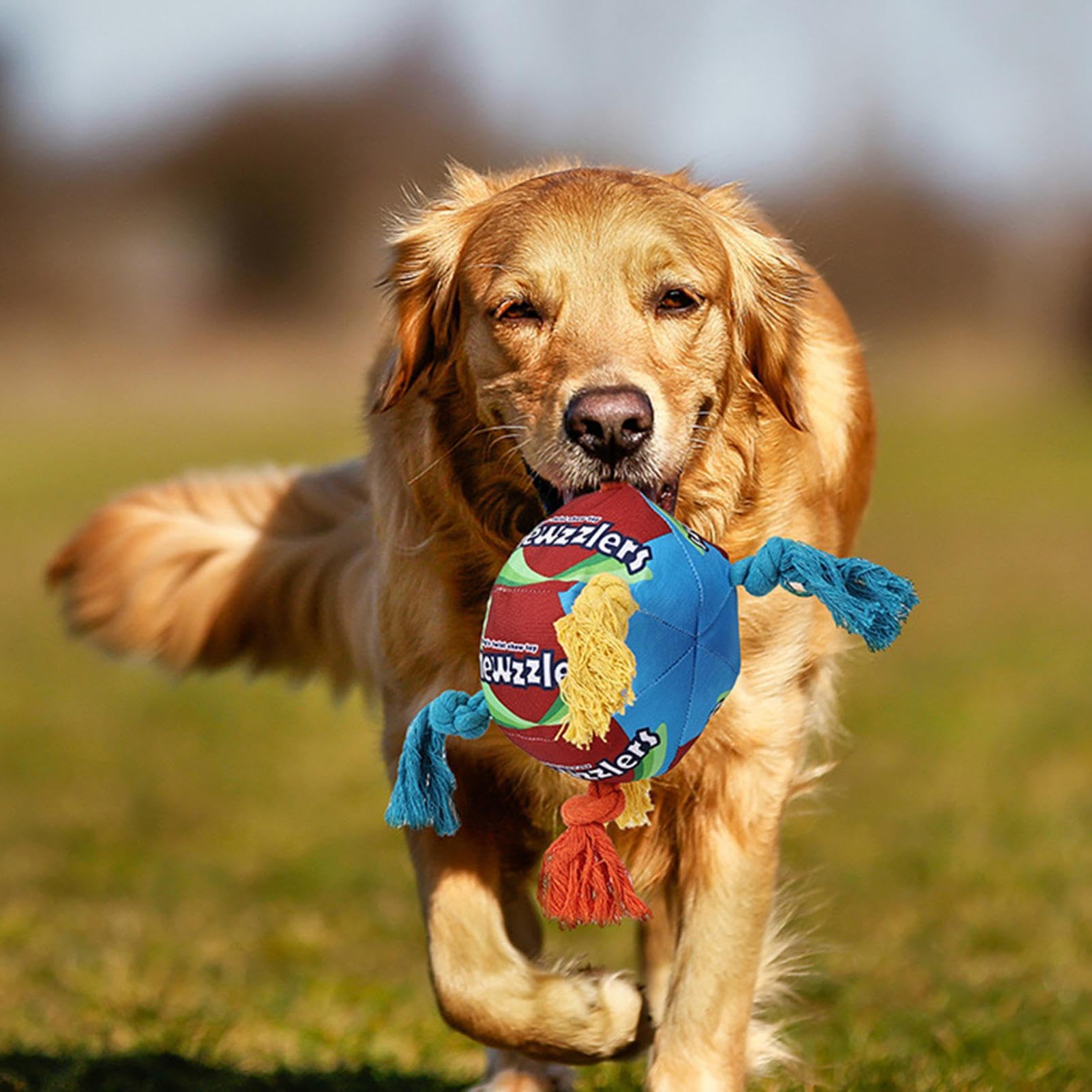 Dog Chew Toy Squeaky Rainbow Candy-Shaped Interactive Rope Toy