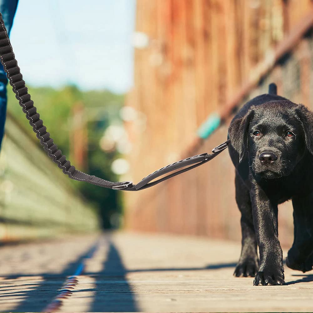 Heavy Duty Bungee Dog Leash - 5 Ft Reflective Dog Shock Absorbing Training Leash with Double Traffic Handles