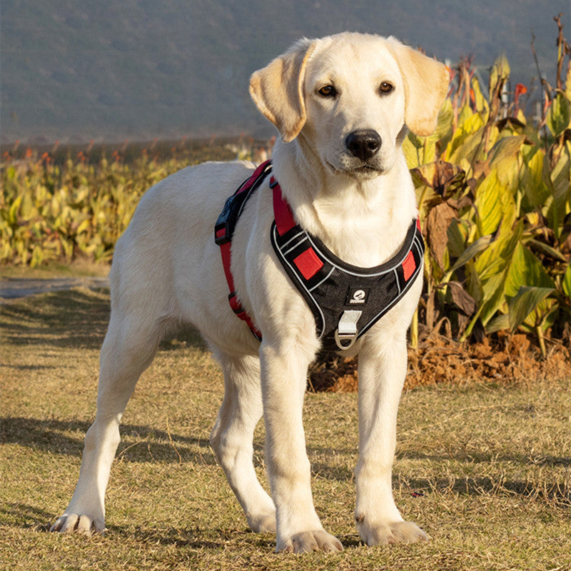 Adjustable Harness Dog Reflective Safety Training Walking Chest Vest Leads Collar