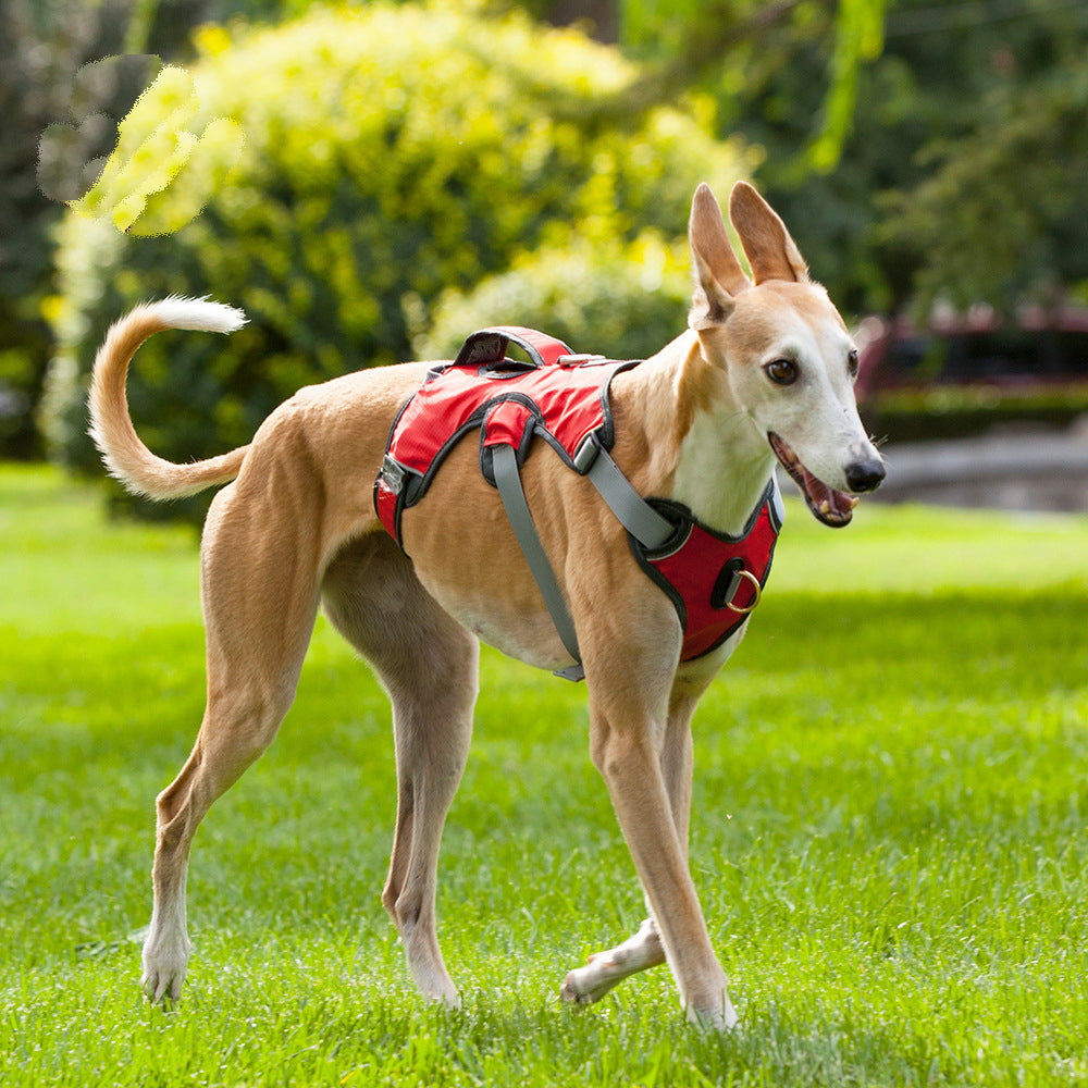 Pet Dog Harness For Dogs Vest Strong Reflective Harness Service Dog Supplies Accessories