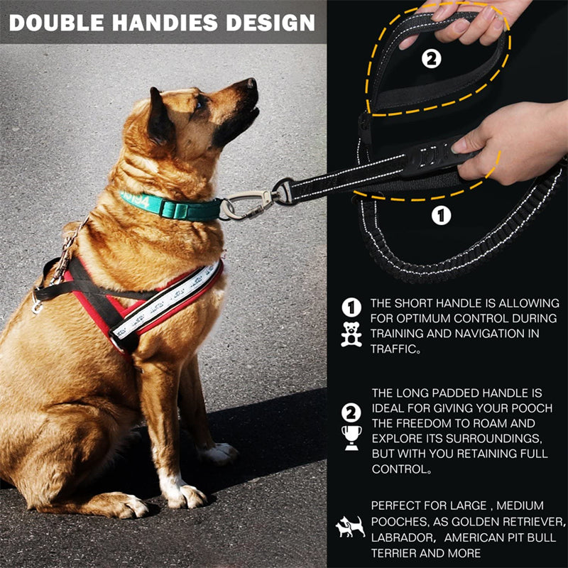 Heavy Duty Bungee Dog Leash - 5 Ft Reflective Dog Shock Absorbing Training Leash with Double Traffic Handles