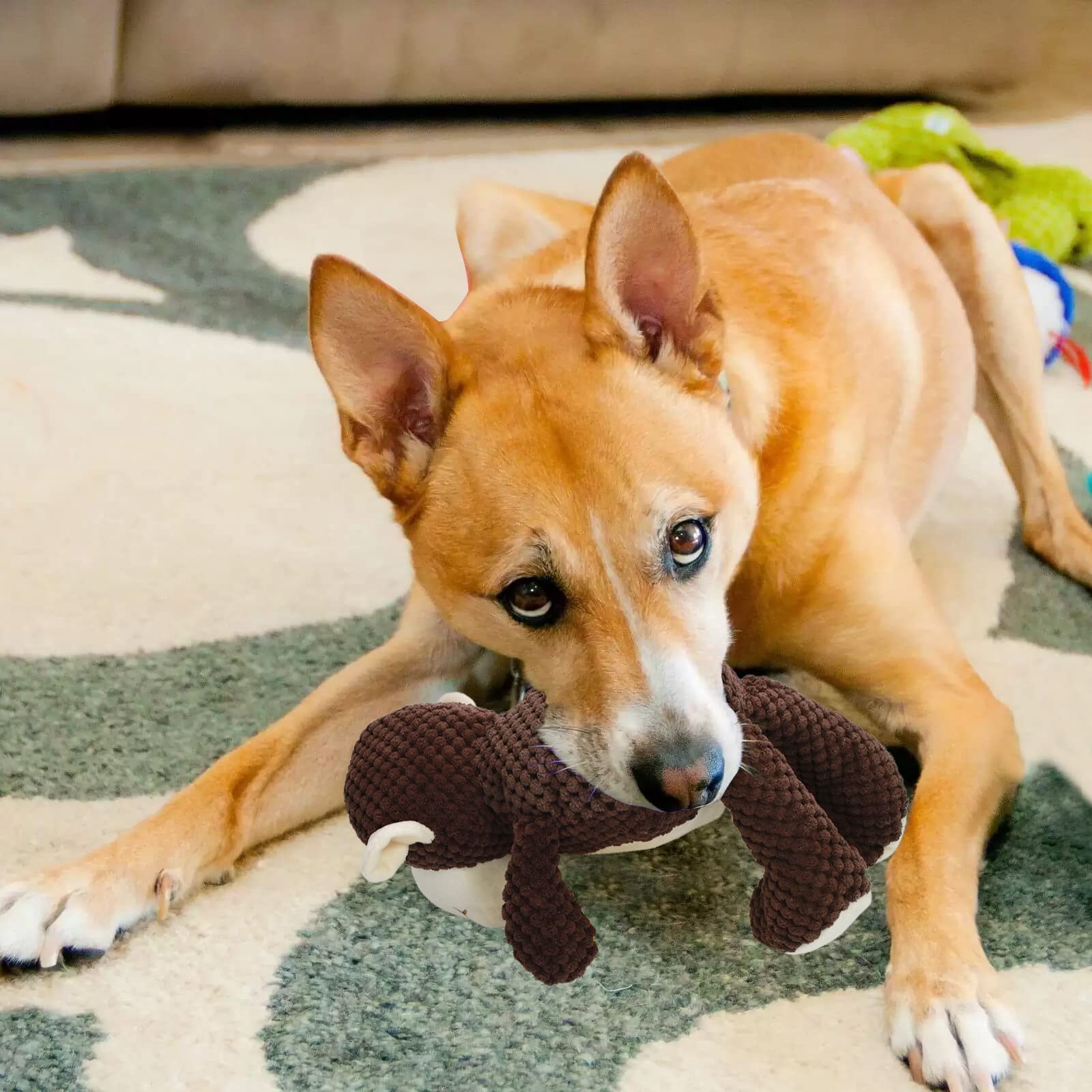 Dogs Toys with Squeaky,Indestructible Dog Toys for Aggressive chewers