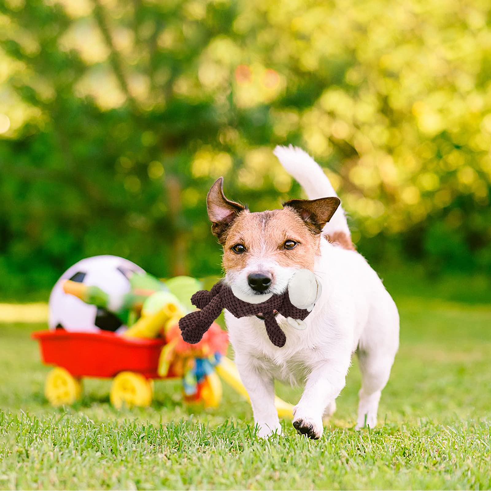 Dogs Toys with Squeaky,Indestructible Dog Toys for Aggressive chewers