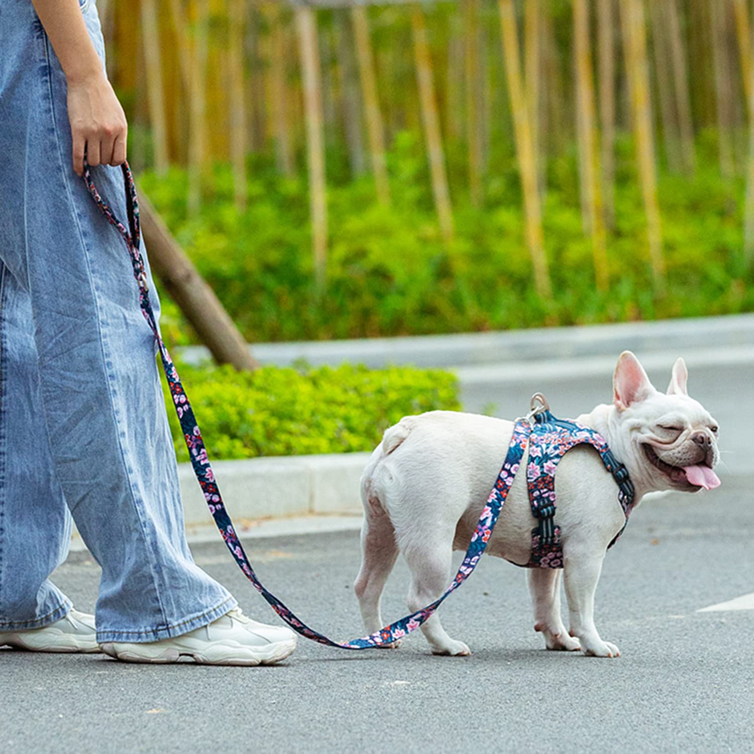 Floral Dog Leash with Multi Handles Durable Chain Rope Soft Padded Training Control Pet Walking Lead