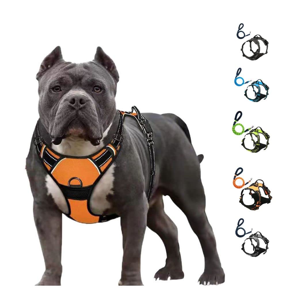 Comfortable Dog Harness and Leash Set for Walking Escape Proof with Reflective Strips