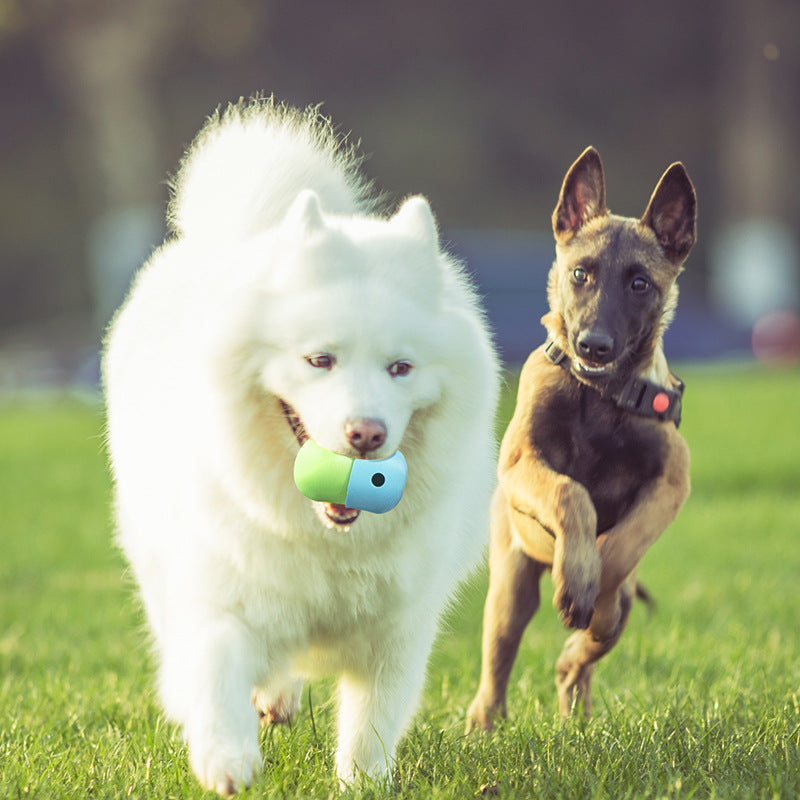 Dog Puzzle Toy Ball Durable Dog Balls for Teeth Cleaning / IQ Training .Dog Puzzle Toys, Dog Enrichment Toys, and Interactive Dog Toys in One