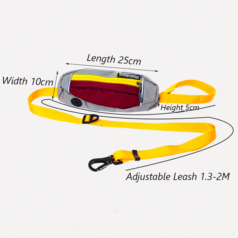 Nylon Outdoor Walking Dog leash With Custom Hip Pack